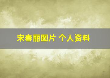 宋春丽图片 个人资料